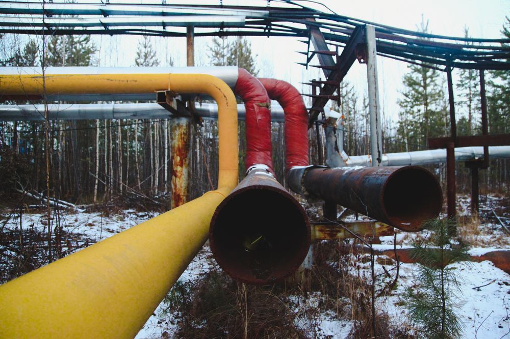 Photograph by Григорий Шишонков