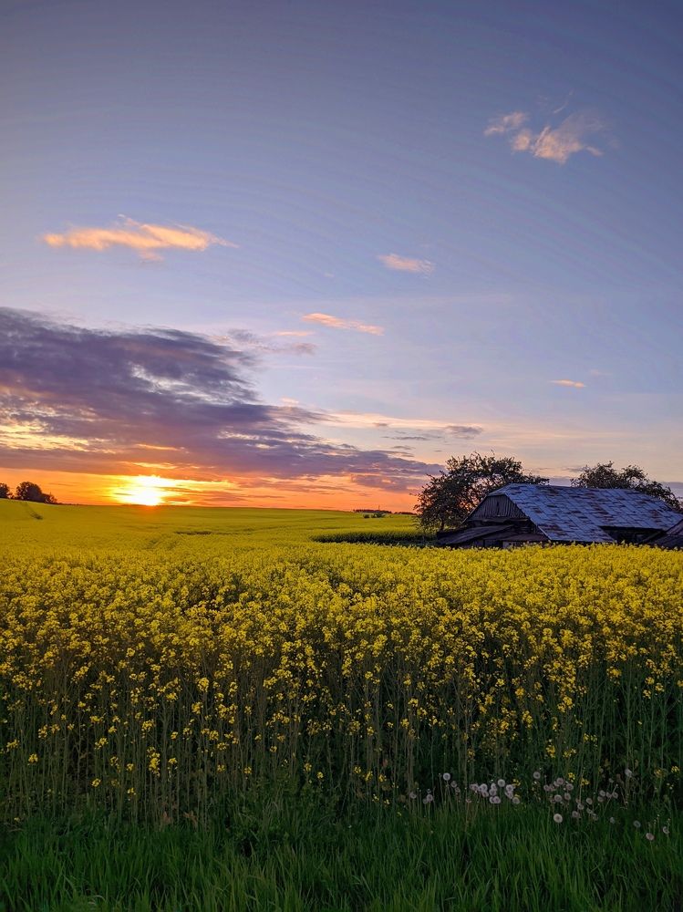 Photograph by Владимир Заборонок