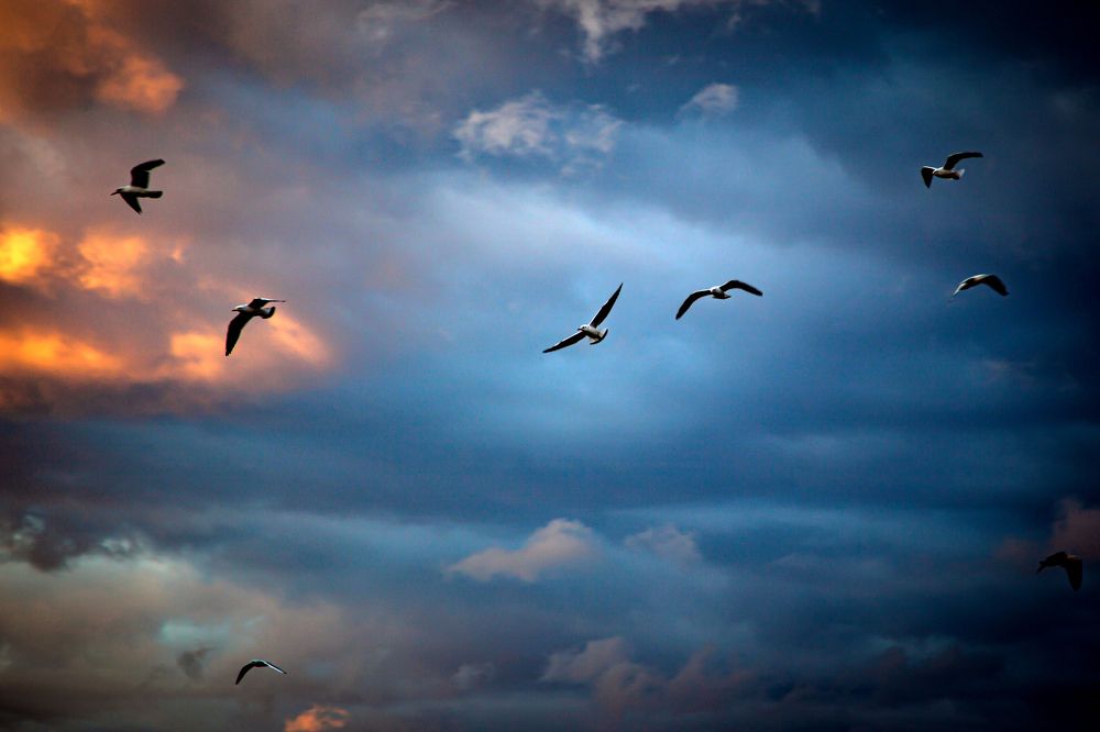 Photograph by Григорий Шишонков