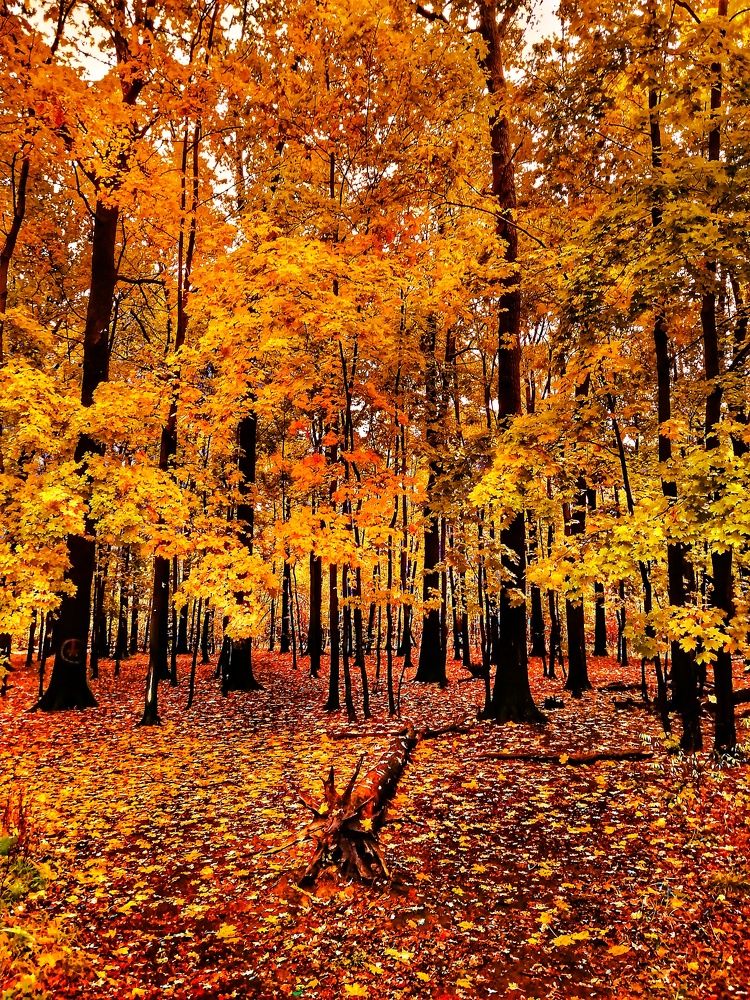 Photograph by Дмитрий Потапов