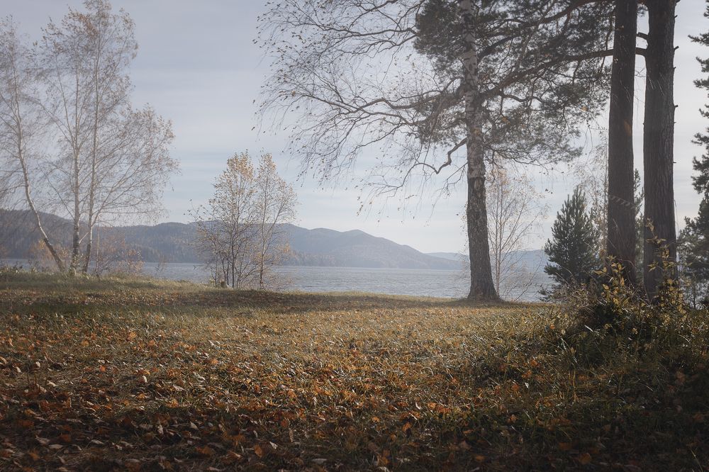 Photograph by Лариса Герасименко