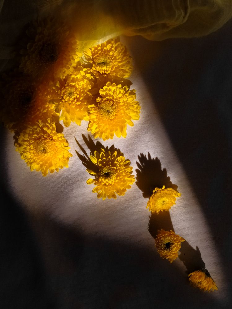 Photograph by Людмила Емельянчикова