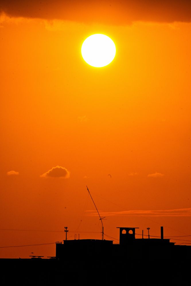 Фотография автора Екатерина Высоцкая