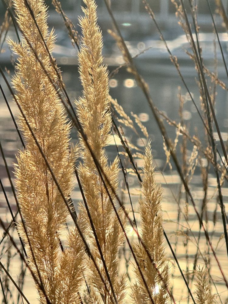 Photograph by Ольга Шабалина