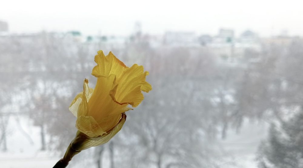 Photograph by Анастасия Кичигина