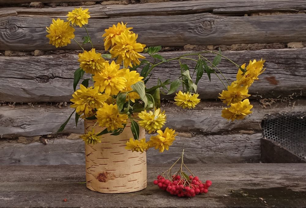 Photograph by Анастасия Кичигина