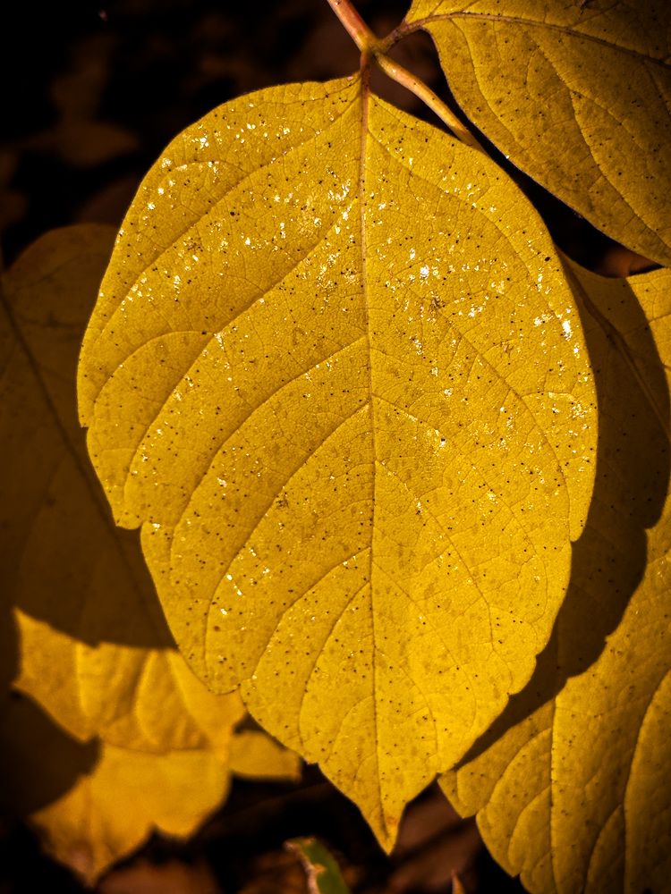 Photograph by Evgenia Privalova