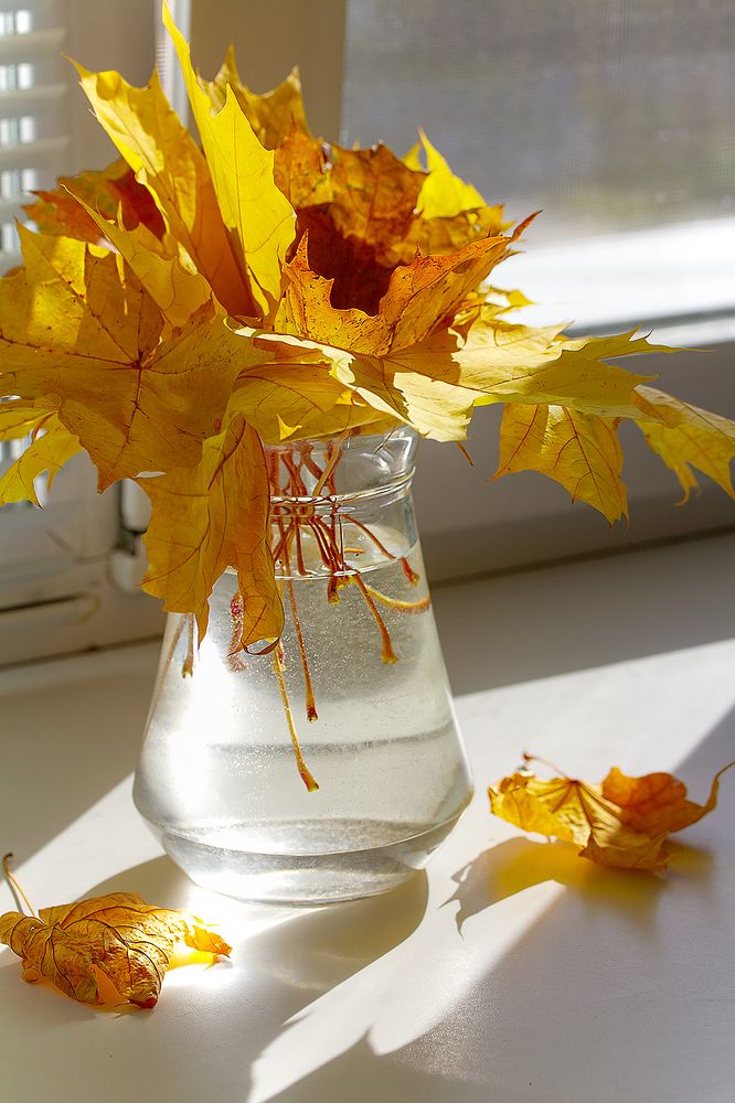 Photograph by Ольга Воронецкая