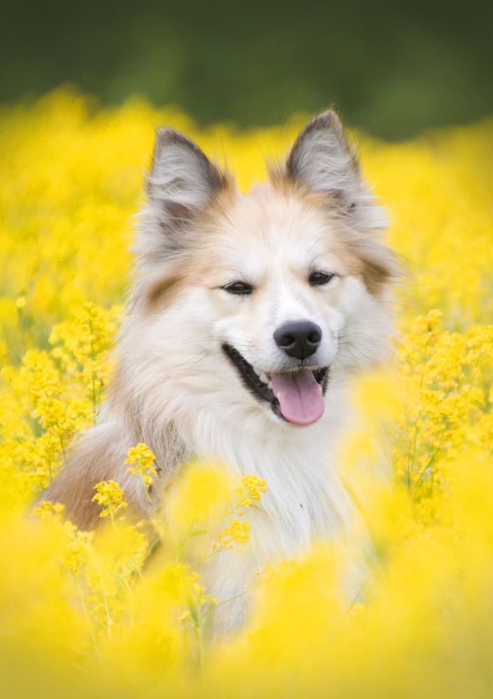 Photograph by Елена Иванова