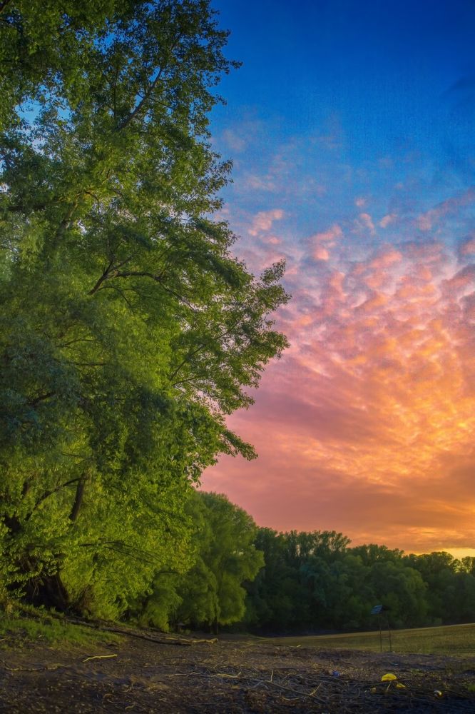 Photograph by Elena Dementova