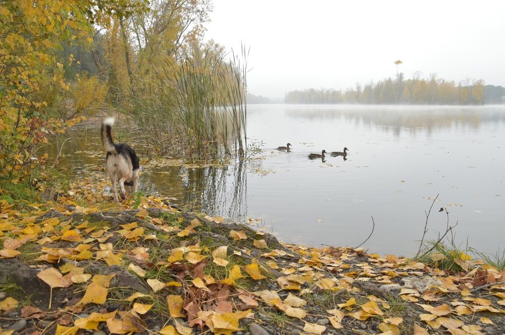 Photograph by Наталья Сорокина
