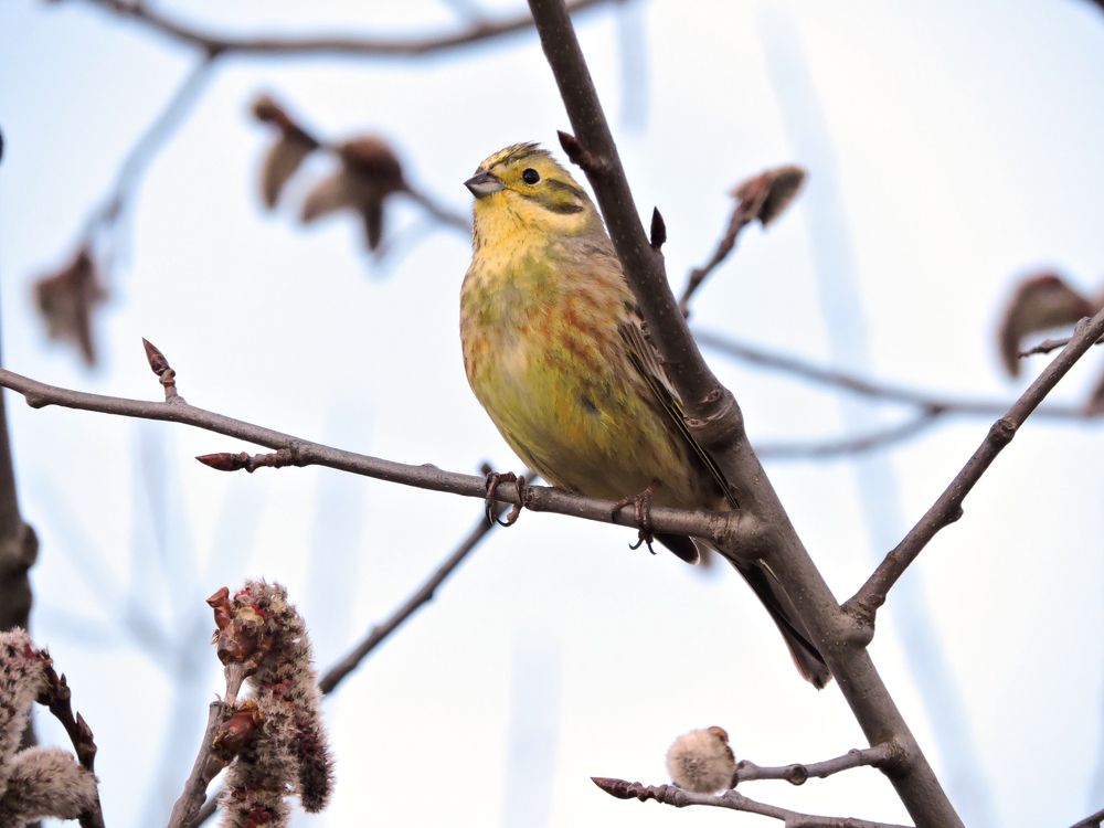 Устремившись вперёд / Rushing forward