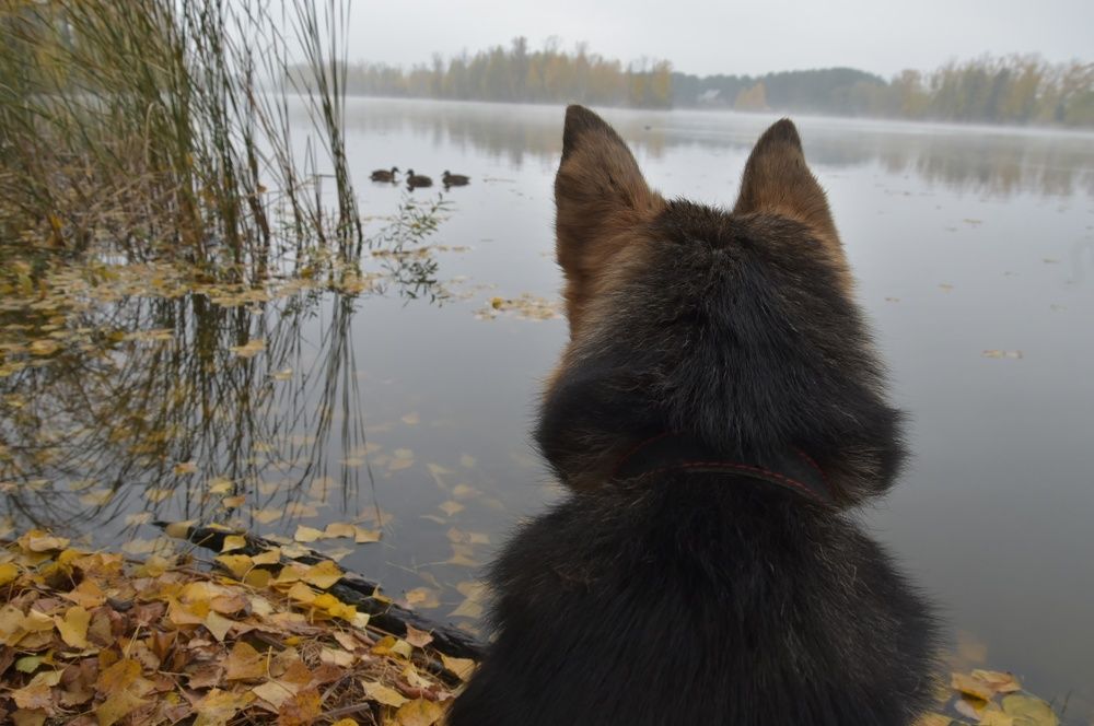 Photograph by Наталья Сорокина