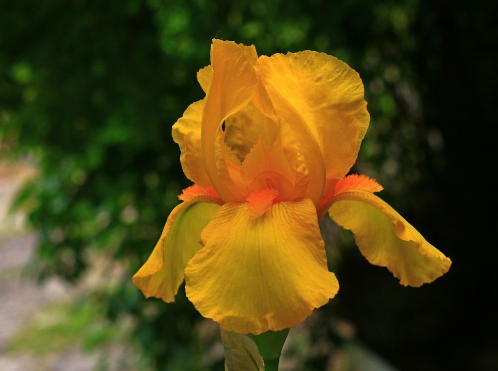 Photograph by Игорь Куленко