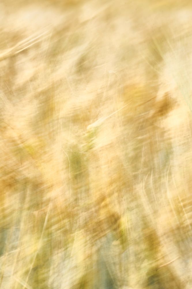 Фотография автора Елена