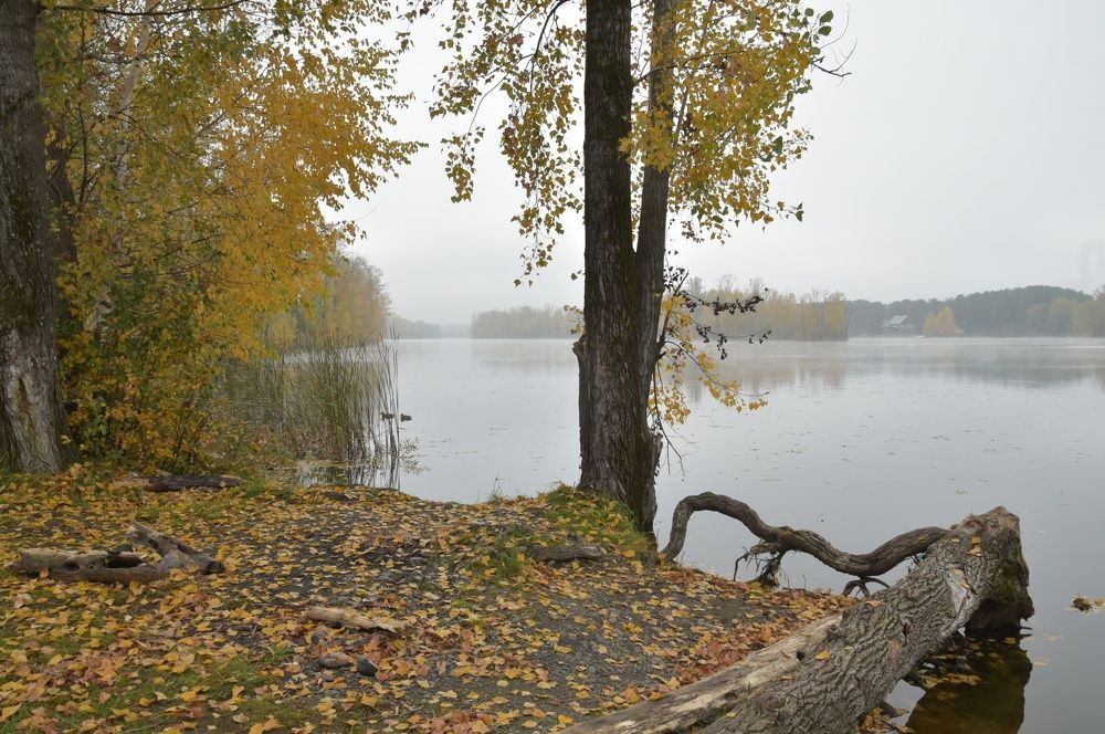 Photograph by Наталья Сорокина