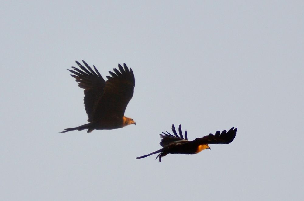 Photograph by AiSaveliev