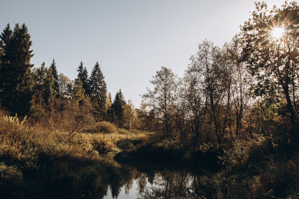 Photograph by Анастасия