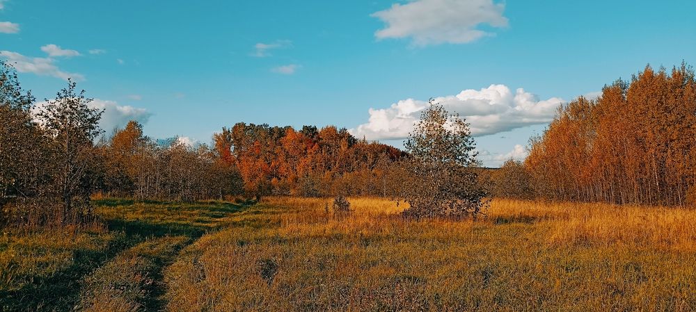 Photograph by Анастасия