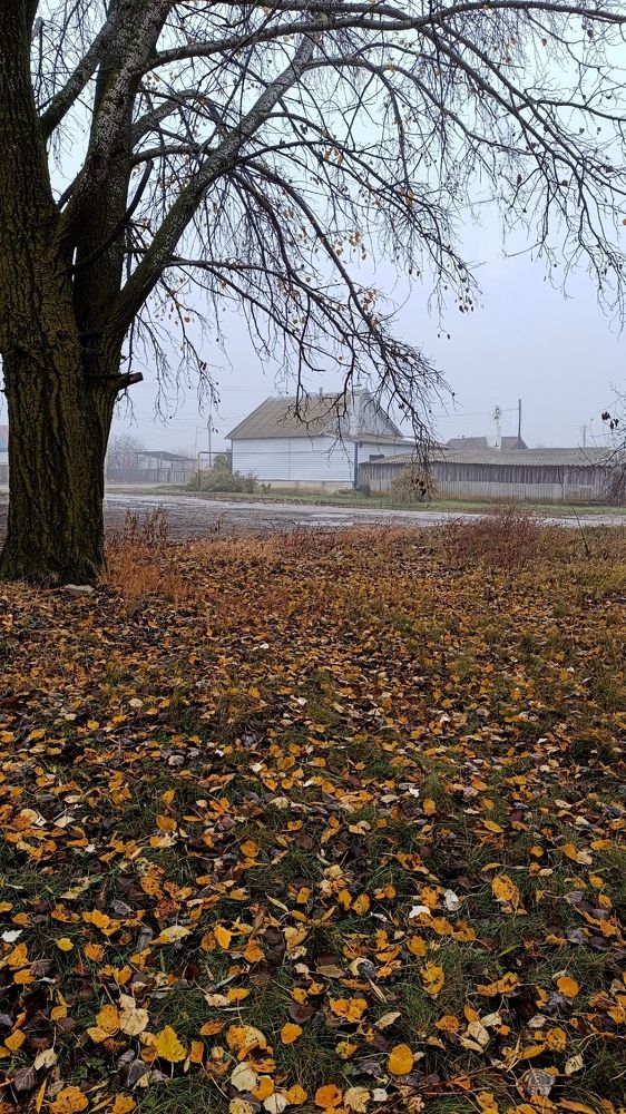 Фотография автора Светлана Анатольевна Чернышова