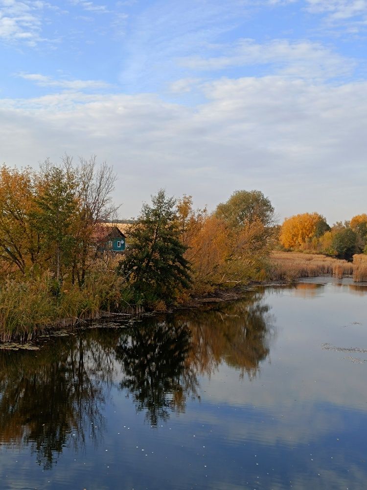Фотография автора Светлана Анатольевна Чернышова