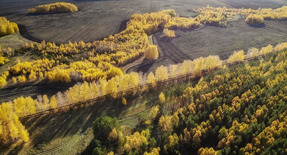 Фотография автора Татьяна Добровольская