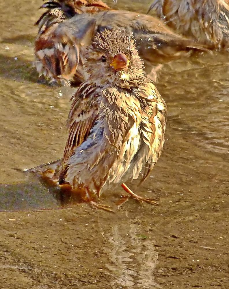 Photograph by Александр