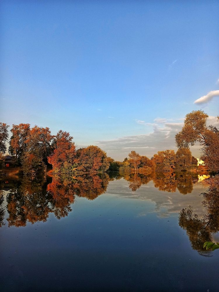 Photograph by Вера Родионова