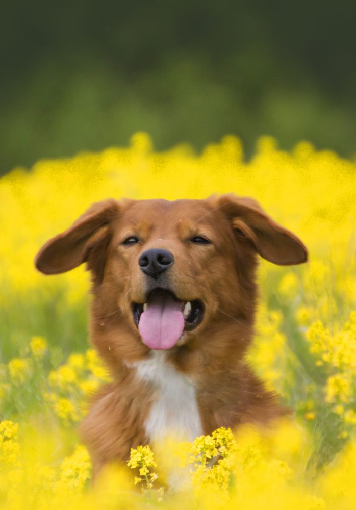 Photograph by Елена Иванова