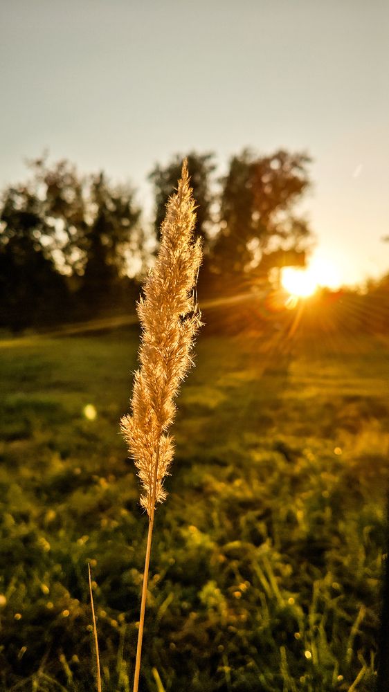 Photograph by Ксения Супрун