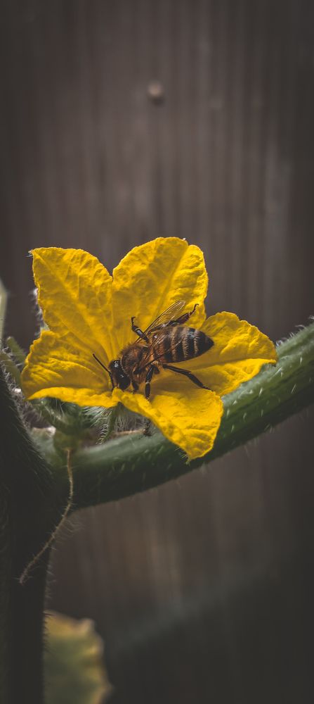 Photograph by Ксения Супрун