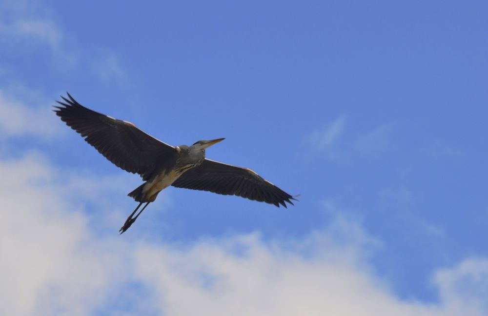 Photograph by AiSaveliev