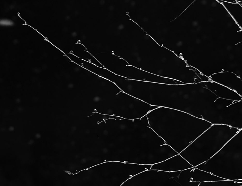 Photograph by Виктория Долотказина