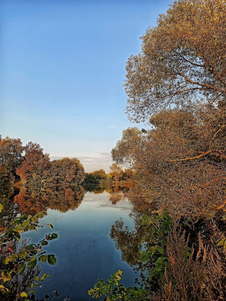 Photograph by Вера Родионова