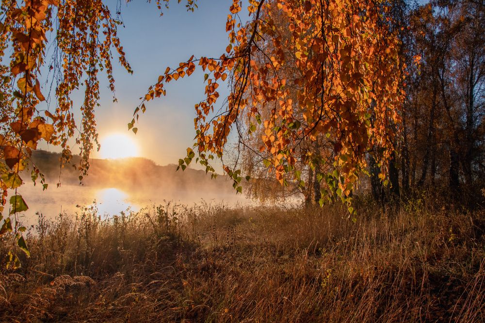 Photograph by Дарья Дрыночкина