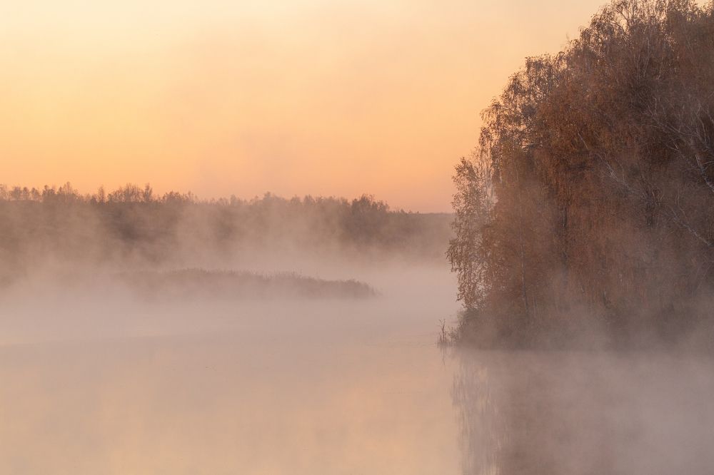 Photograph by Дарья Дрыночкина