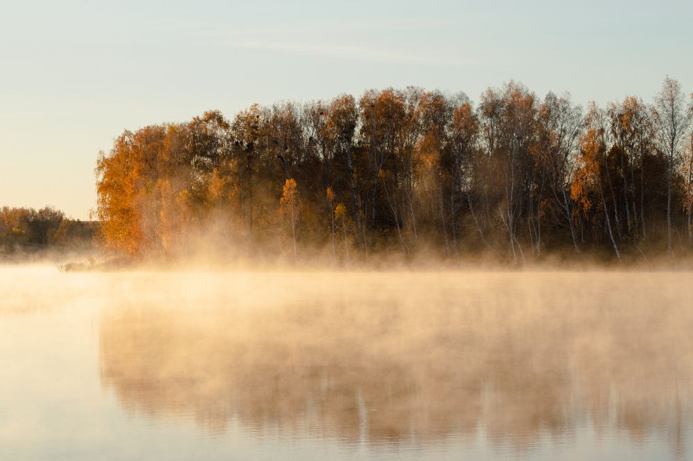 Photograph by Дарья Дрыночкина