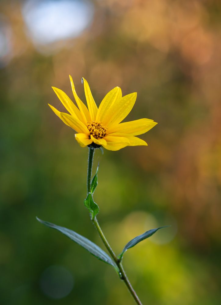 Photograph by Agita Leimane