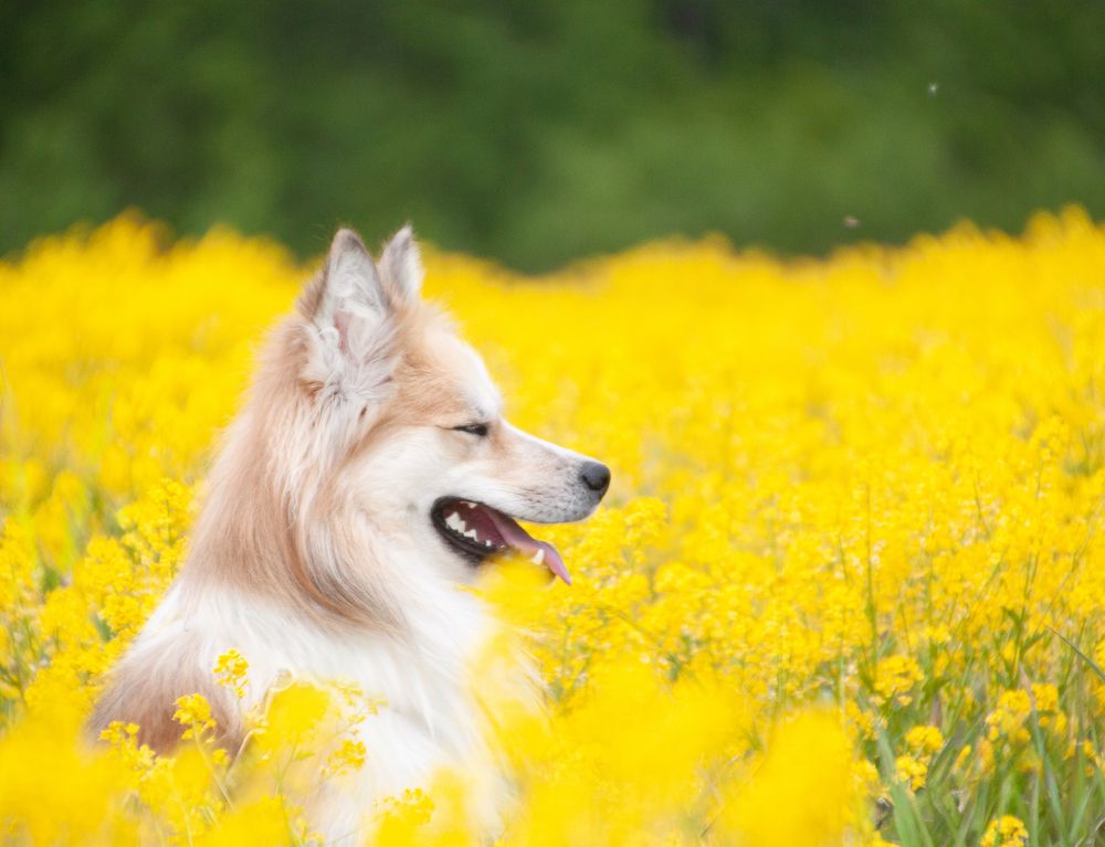 Photograph by Елена Иванова