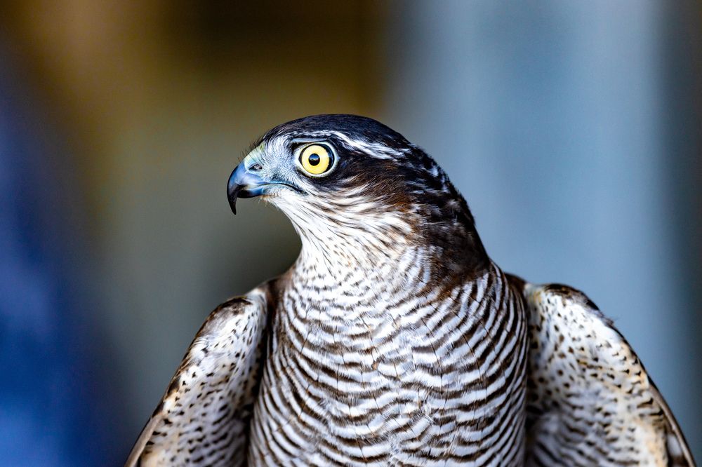 Photograph by Siarhei Saladukhin