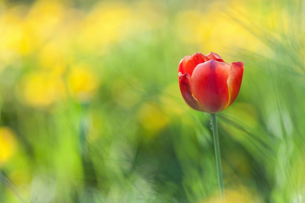 Фотография автора Юрий Кульмяков
