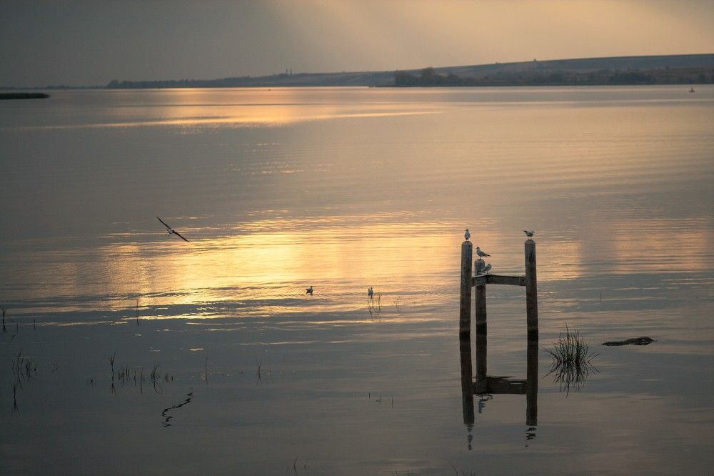 Фотография автора Юрий Кульмяков