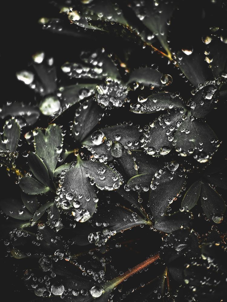 Photograph by Yuliya Karpova