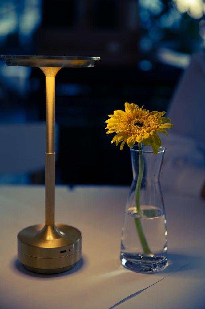 Lonely but not broken