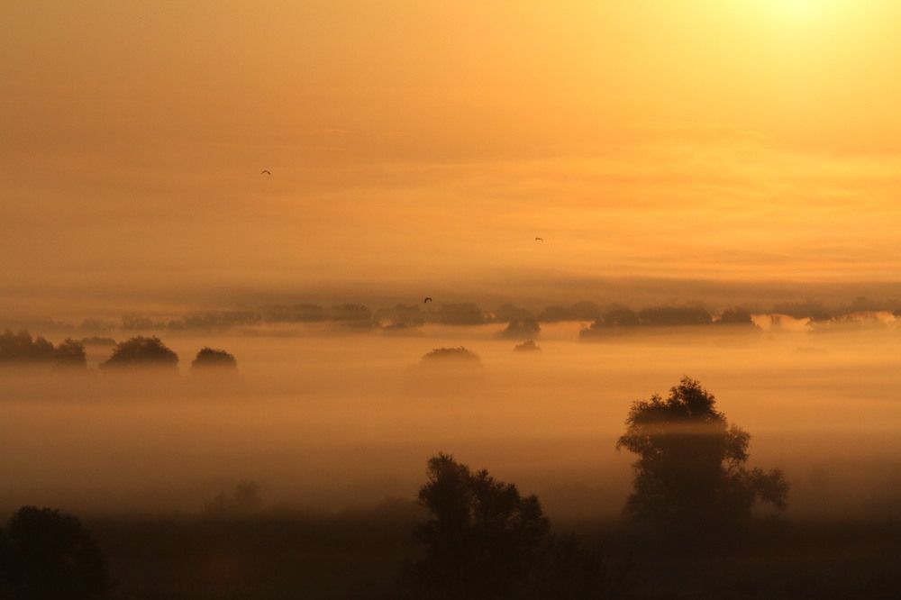 Фотография автора Татьяна Шебаршенко