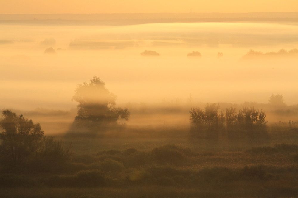 Фотография автора Татьяна Шебаршенко