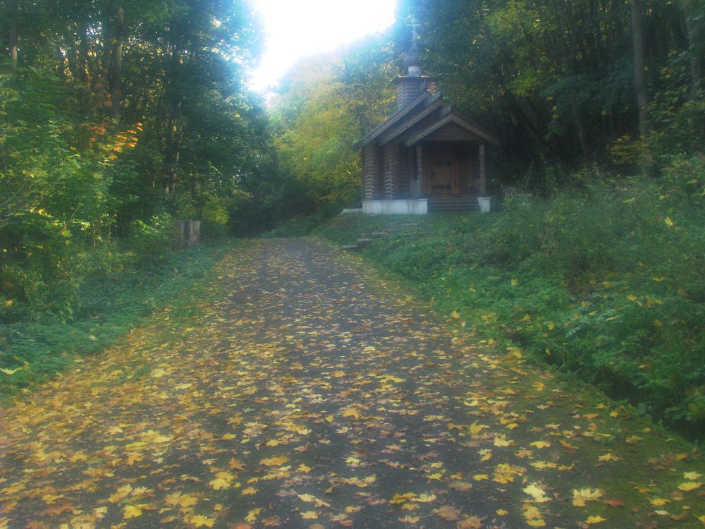 Photograph by Лада Кляузина