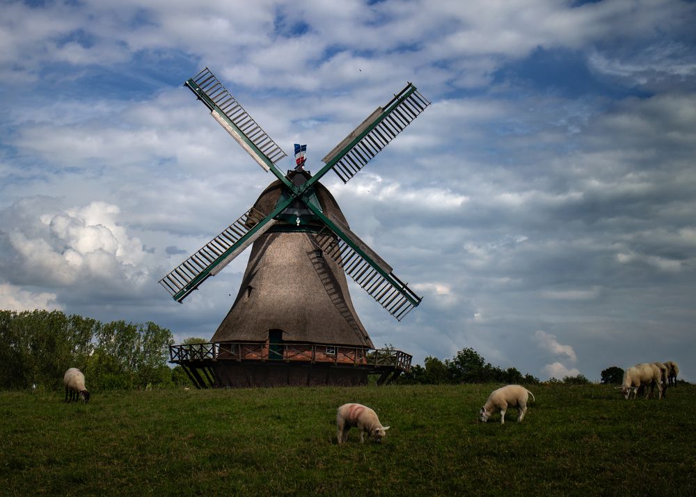 Photograph by Дьяченко Алёна