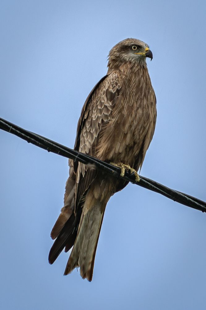 Photograph by Высотских Владимир