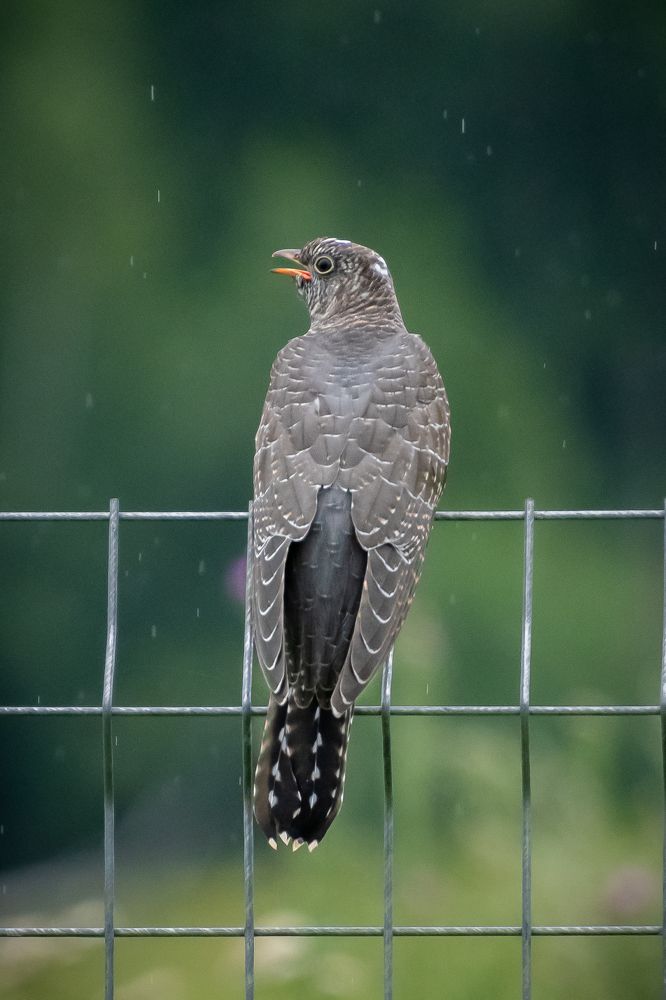 Photograph by Высотских Владимир